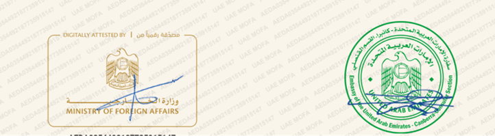 A screen shot of a phone

AI-generated content may be incorrect.