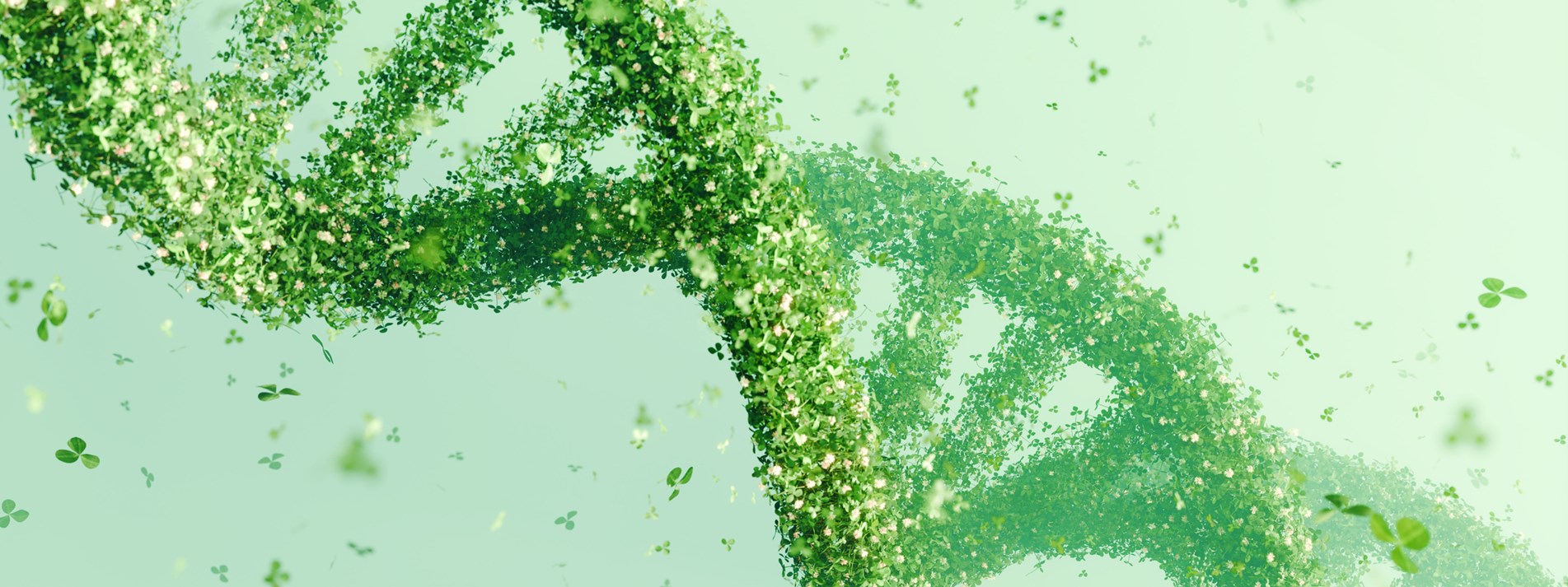 Rouse - Lusheng Secures Major Victory for BLOOM FRESH in First-of-its ...